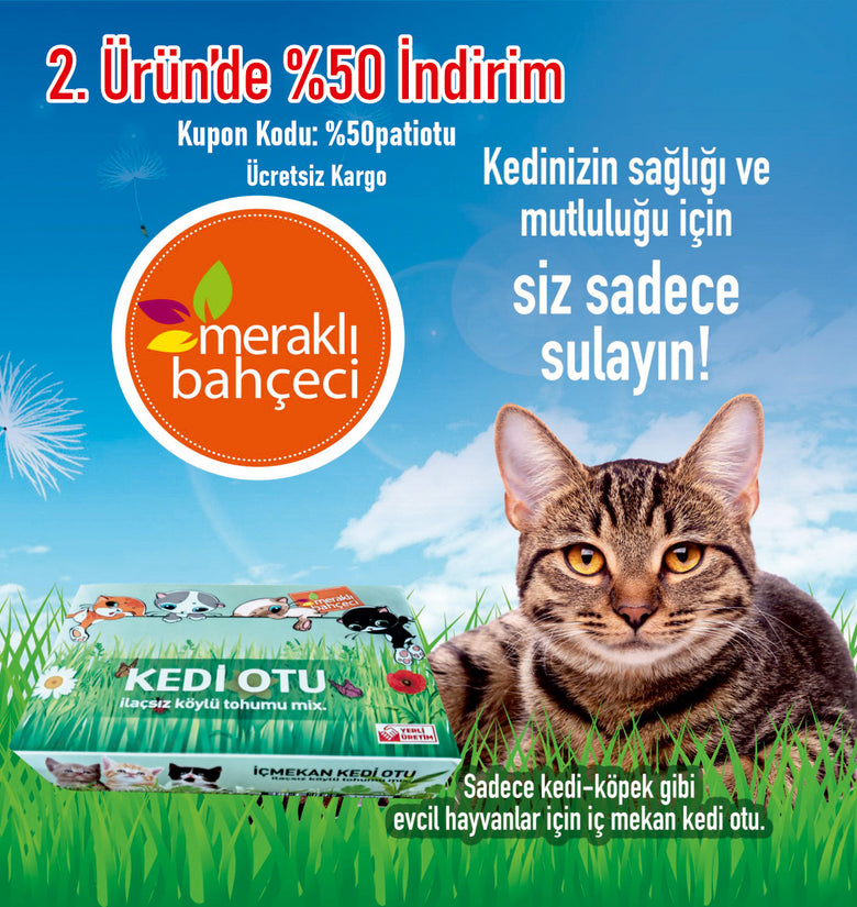 Kedi Otu Kit (Kedi Çimi Set) - Toprak, Saksı, Koruyucu File ve Tohum Seti | Sağlıklı Kedi Bakımı  |  Ücretsiz Kargo