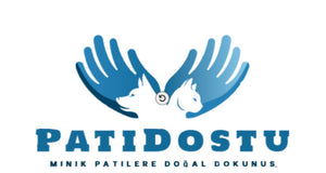 Pati Dostu