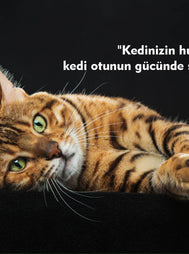 Kedinizin Huzuru, Kedi Otunun Gücünde Saklı!