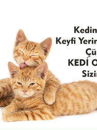 Kedinizin Keyfi Yerinde, Çünkü Kedi Otu Sizinle